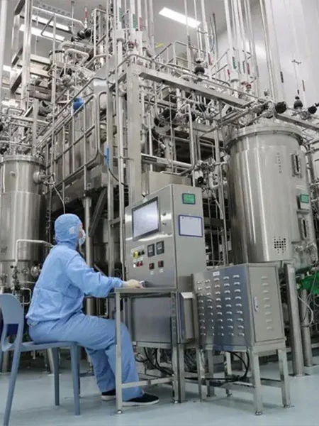 Food and Beverage Production Line